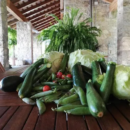 Ferienhaus Ronc Dai Luchis